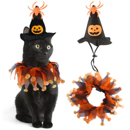 Ensemble chapeau et écharpe d'Halloween, motif crâne, cape de chat