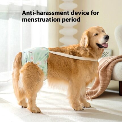 Culottes menstruelles Gros chien
